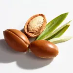 Argan Oil in Hair Care: Unveiling the Liquid Gold for Lustrous Locks